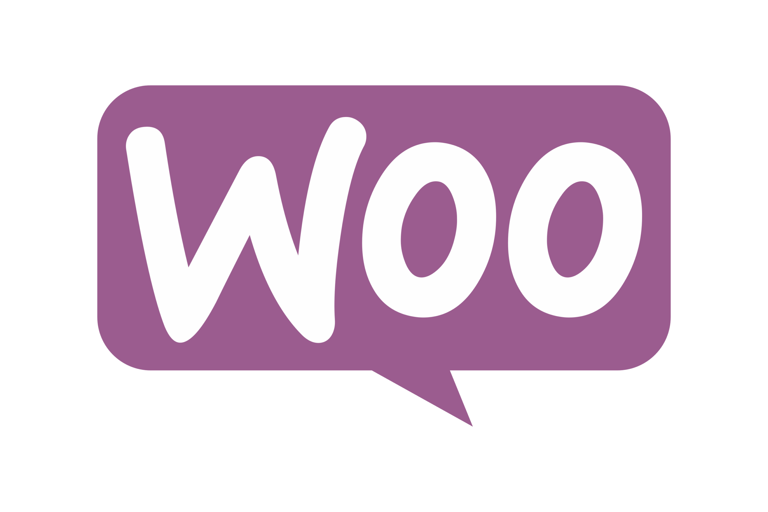 รับทำเว็บไซต์ WooCommerce